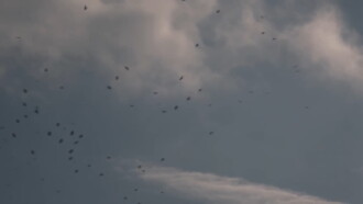 The Sky Seemed Too High Trailer