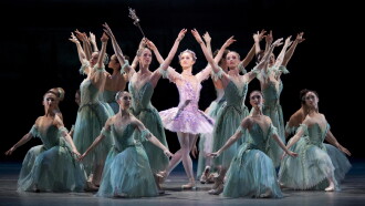 The Sleeping Beauty Trailer