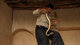 The Snake Sultan Trailer