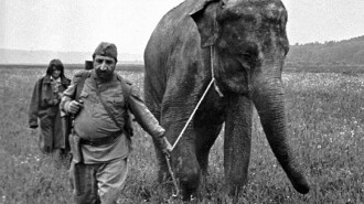 The Soldier and the Elephant Trailer