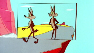 The Solid Tin Coyote Trailer
