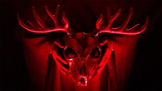 The Stag Trailer