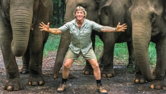 The Steve Irwin Story Trailer