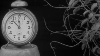 The Strangler Trailer