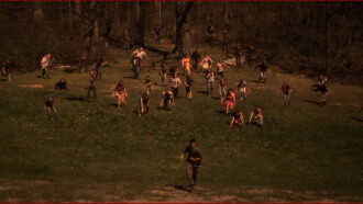 The Stray Trailer