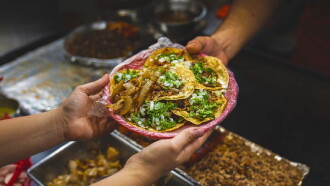The Street Food Hype Trailer