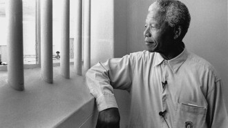 The Struggle Is My Life: Nelson Mandela 1918 - 2013 Trailer