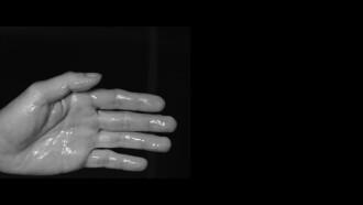The Sublime of Rectum Trailer