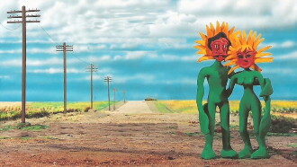 The Sunflowers Trailer