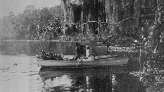 The Suwanee River Trailer
