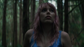 The Swallow Trailer