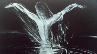 The Swan Trailer