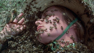 The Swarm Trailer