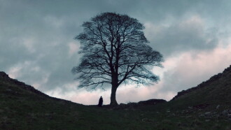 The Sycamore Gap Trailer