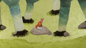 The Teeny-Weeny Fox Trailer