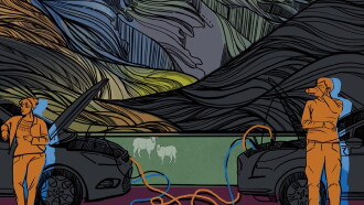 The Thistle in the Kiss Trailer