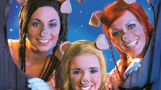 The Three Little Pigs The Musical Trailer