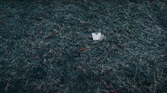 The Ticket Trailer