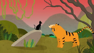 The Tiger and his Master Trailer