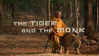 The Tiger and the Monk Trailer