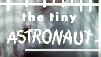 The Tiny Astronaut Trailer