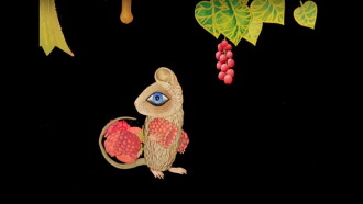 The Town Mouse and the Country Mouse Trailer