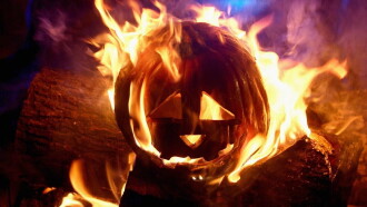 The Town Without Halloween Trailer