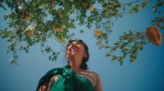 The Tree Trailer