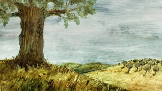 The Tree Trailer