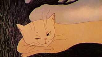 The Tree and the Cat Trailer