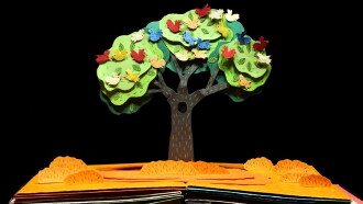 The tree has been planted Trailer