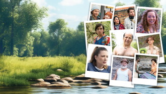 The Trip 7 Trailer