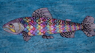 The Trout That Stole the Rainbow Trailer