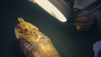 The True Story of King Tut's Tomb Trailer