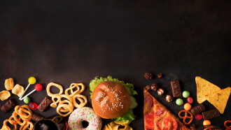 The Truth About Calories Trailer