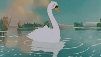 The Ugly Duckling Trailer