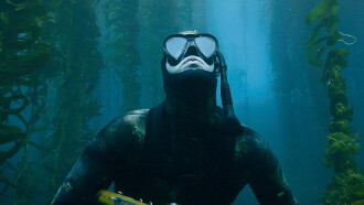 The Urchin Diver Trailer