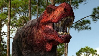The Valley of the T-Rex Trailer