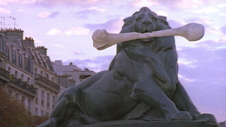 The Vanishing Lion Trailer