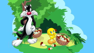 The very best of Tweety Trailer