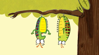 The Very Impatient Caterpillar Trailer