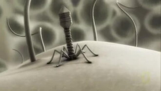 The Virus Hunters Trailer
