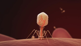 The Virus Within Us Trailer