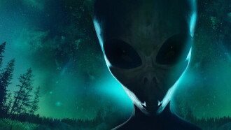 The Visitors Trailer
