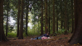 The Wasting Trailer