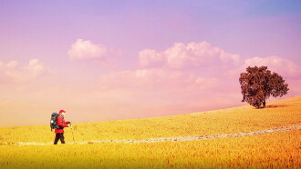 The Way, My Way Trailer