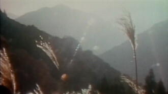 The Weald Trailer