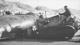 The Whale Trailer