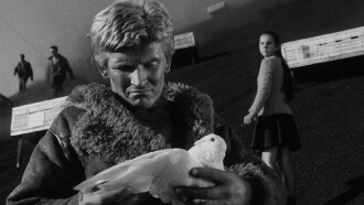 The White Dove Trailer