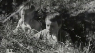 The White Weathervane Trailer